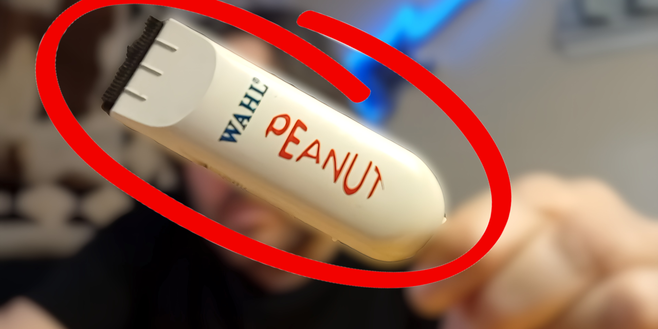 Wahl Professional Peanut Trimmer Review